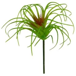 Outlet 😍 24 Pack: Assorted Tillandsia Pick by Ashland® ✔️ 8 Outlet 😍 24 Pack: Assorted Tillandsia Pick by Ashland® ✔️ -Ashland Shop 10547489 3 1