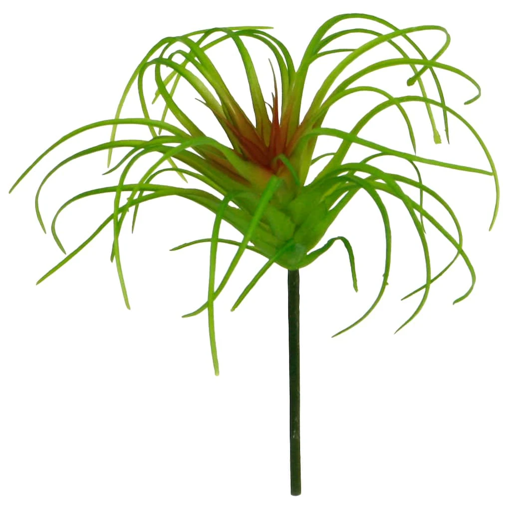 Outlet 😍 24 Pack: Assorted Tillandsia Pick by Ashland® ✔️ 5 Outlet 😍 24 Pack: Assorted Tillandsia Pick by Ashland® ✔️ - Image 3