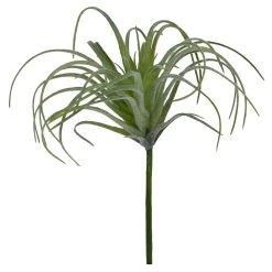 Outlet 😍 24 Pack: Assorted Tillandsia Pick by Ashland® ✔️ 9 Outlet 😍 24 Pack: Assorted Tillandsia Pick by Ashland® ✔️ -Ashland Shop 10547489 4 1