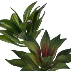 Coupon 👍 Assorted Agave Pick By Ashland® ⌛ -Ashland Shop 10547490 20