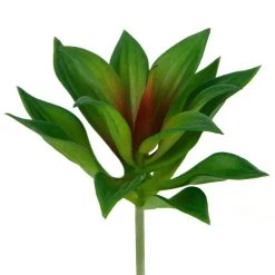 Deals 🎉 12 Pack: Assorted Agave Pick by Ashland® 🔔 -Ashland Shop 10547490 4