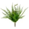 Budget ⌛ Boston Fern Bush by Ashland® 🎉 -Ashland Shop 10547493 1
