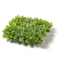 Promo 🛒 Large Boxwood Mat by Ashland® 👍 -Ashland Shop 10547533 21