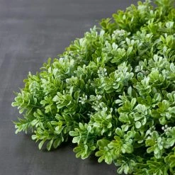 Promo 🛒 Large Boxwood Mat by Ashland® 👍 -Ashland Shop 10547533 25