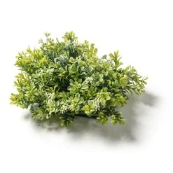 Cheapest 🎁 Green Boxwood Mat by Ashland® ⭐ -Ashland Shop 10547534 21
