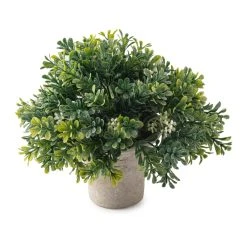 Cheapest 😉 Premade Boxwood Bush by Ashland® 😀