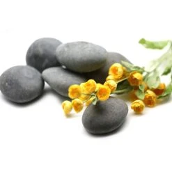 Cheap 🎁 16 Pack: Large Washed Black Stones by Ashland™ ✨ -Ashland Shop 10552993 3 1