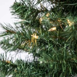 Best Pirce 🔥 4ft. Pre-Lit Riverside Pine Artificial Christmas Tree, Clear Lights by Ashland® 🌟 -Ashland Shop 10555064 12