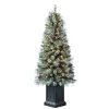 Buy 😉 4.5ft. Pre-Lit Baywood Artificial Christmas Tree, Clear Lights by Ashland® 🔔 1 Buy 😉 4.5ft. Pre-Lit Baywood Artificial Christmas Tree, Clear Lights by Ashland® 🔔 -Ashland Shop 10560172