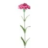 Best Sale ⌛ 24 Pack: Hot Pink Carnation Stem by Ashland® 😉 -Ashland Shop 10626417 1