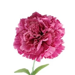 Best Sale ⌛ 24 Pack: Hot Pink Carnation Stem by Ashland® 😉 -Ashland Shop 10626417 2