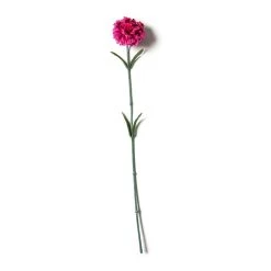 Best reviews of 👏 Hot Pink Carnation Stem by Ashland® ✨
