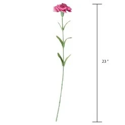 Best Sale ⌛ 24 Pack: Hot Pink Carnation Stem by Ashland® 😉 -Ashland Shop 10626417 3 1