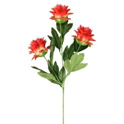 Hot Sale 🤩 12 Pack: Red Hops Stem by Ashland® 👏