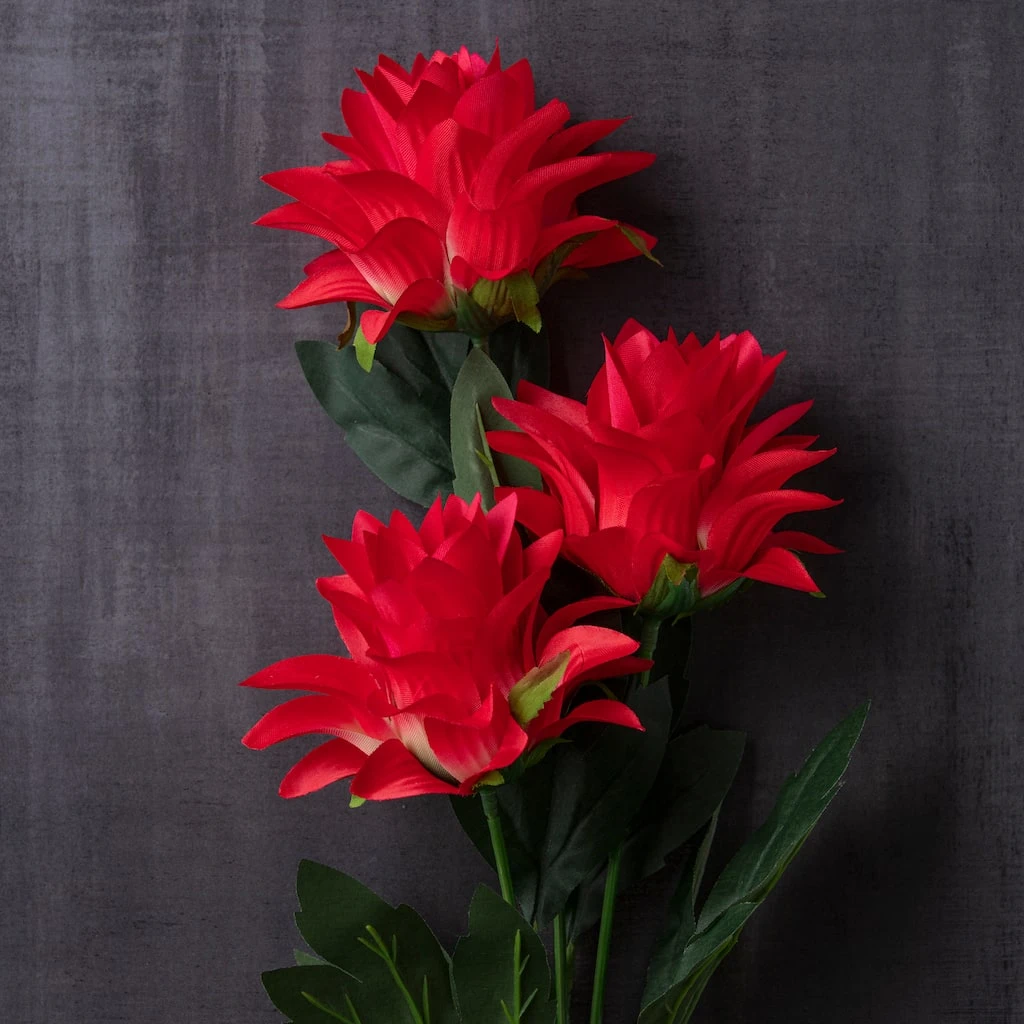 Best reviews of ❤️ Red Hops Stem by Ashland® ✨ 4 Best reviews of ❤️ Red Hops Stem by Ashland® ✨ - Image 2