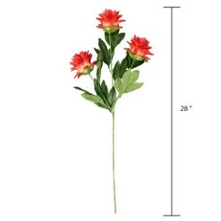 Hot Sale 🤩 12 Pack: Red Hops Stem by Ashland® 👏 -Ashland Shop 10626421 3 1