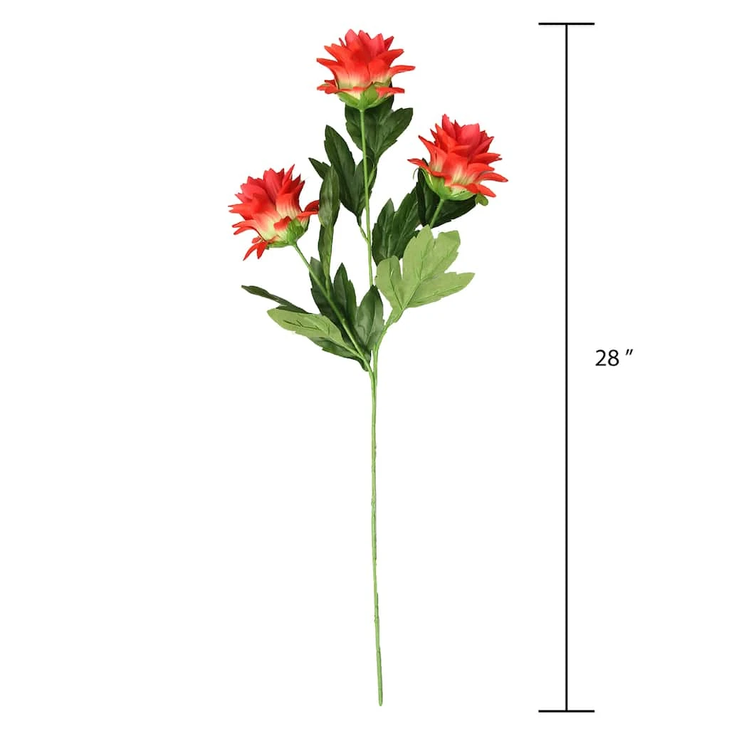 Best reviews of ❤️ Red Hops Stem by Ashland® ✨ 6 Best reviews of ❤️ Red Hops Stem by Ashland® ✨ - Image 4