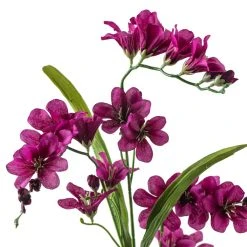 Best reviews of ✨ Hot Purple Freesia Stem by Ashland® ❤️ -Ashland Shop 10626423 20