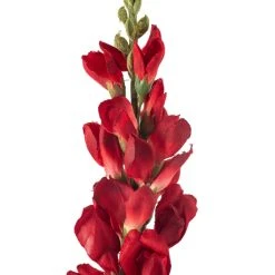 Best deal ⭐ Red Snapdragon Stem by Ashland® 😀 -Ashland Shop 10626425 20