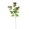 Promo 🎁 12 Pack: Burgundy Ranunculus Spray by Ashland® ⭐ -Ashland Shop 10626427 1