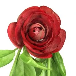 Promo 🎁 12 Pack: Burgundy Ranunculus Spray by Ashland® ⭐ -Ashland Shop 10626427 2