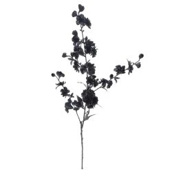 Flash Sale 😉 12 Pack: Black Blossom Spray by Ashland® 🤩 -Ashland Shop 10626437 3