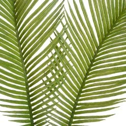 New 🎉 Green Sago Palm Stem by Ashland® 🔔 -Ashland Shop 10626443 2
