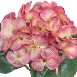 Hot Sale 😀 12 Pack: Mauve Hydrangea Stem by Ashland® 👍 -Ashland Shop 10626445 2