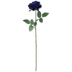 Best deal 👍 Navy Princess Rose Stem by Ashland® 😍