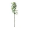 Best reviews of ๐ Frosted Dusty Miller Spray Stem by Ashland® ๐ 2 Best reviews of ๐ Frosted Dusty Miller Spray Stem by Ashland® ๐ -Ashland Shop 10626451 21