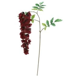 Hot Sale ⌛ 12 Pack: Burgundy Wisteria Stem by Ashland® 🎁