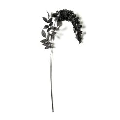 Best deal 😀 Black Wisteria Stem by Ashland® 🛒