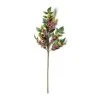 Outlet ✔️ Burgundy Berry Stem with Leaves by Ashland® ⭐ 1 Outlet ✔️ Burgundy Berry Stem with Leaves by Ashland® ⭐ -Ashland Shop 10626463 21