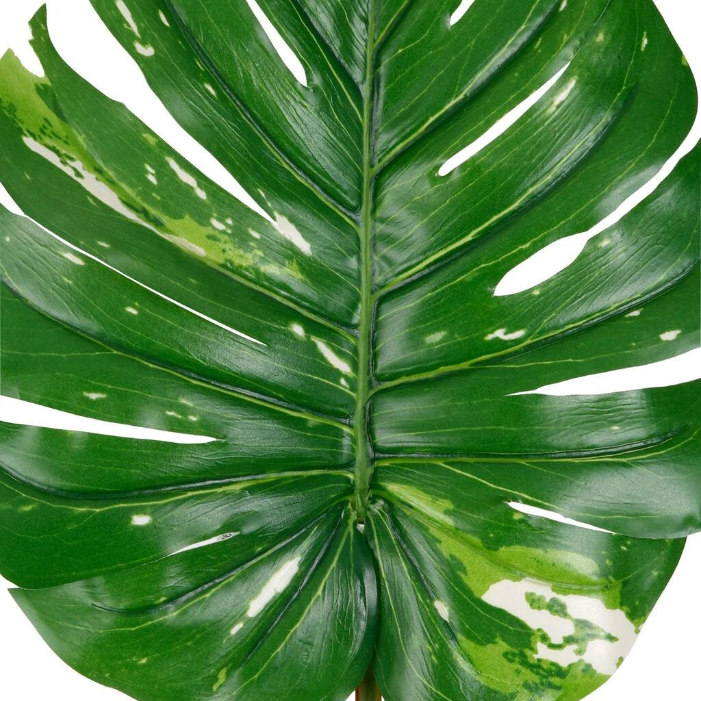 Best Pirce β¨ 12 Pack: Monstera Leaf Stem by Ashland® π 4 Best Pirce β¨ 12 Pack: Monstera Leaf Stem by Ashland® π - Image 2
