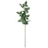 Top 10 👍 12 Pack: Rose Leaf Stem by Ashland® 👏
