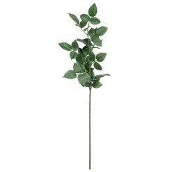 Top 10 👍 12 Pack: Rose Leaf Stem by Ashland® 👏