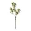 Coupon ✨ Green Berry Stem with Leaves by Ashland® 🌟 -Ashland Shop 10626473 21