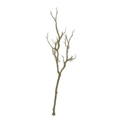 Deals ⌛ Bare Birch Branch by Ashland® 😍