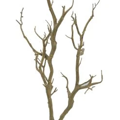 Deals ⌛ Bare Birch Branch by Ashland® 😍 -Ashland Shop 10626481 2