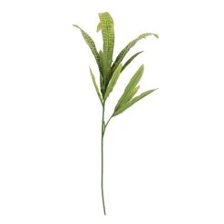 Wholesale ⌛ 12 Pack: Green & Yellow Croton Stem by Ashland® ❤️