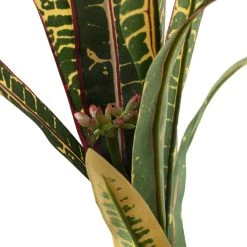 Budget 🧨 Green & Yellow Croton Fall Stem by Ashland® 🧨 -Ashland Shop 10626491 20