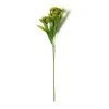 Discount 👍 Green Queen Anne's Lace Stem by Ashland® ❤️