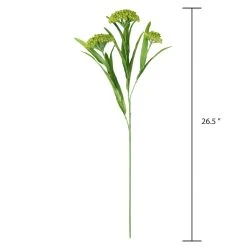 Discount 👍 Green Queen Anne's Lace Stem by Ashland® ❤️ -Ashland Shop 10626560 3