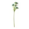 Buy ✔️ Blue Queen Anne's Lace Stem by Ashland® 🧨