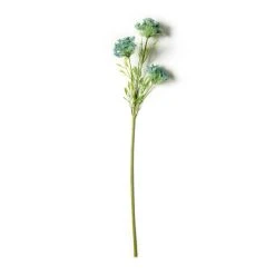 Buy ✔️ Blue Queen Anne's Lace Stem by Ashland® 🧨