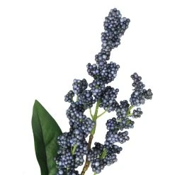 Best reviews of 🔔 12 Pack: Blue Berry Spray by Ashland® ⭐ -Ashland Shop 10626572 2