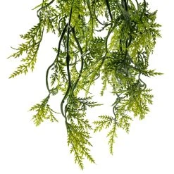 Best reviews of 🔔 Green Hanging Fern Bush by Ashland® 💯 -Ashland Shop 10626844 20