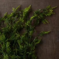 Best reviews of 🔔 Green Hanging Fern Bush by Ashland® 💯 -Ashland Shop 10626844 25