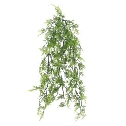 Best reviews of 🔔 Green Hanging Fern Bush by Ashland® 💯 -Ashland Shop 10626844 4