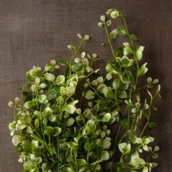Discount ⭐ 6 Pack: Cream & Green Hanging Smilax Bush by Ashland® ❤️ -Ashland Shop 10626845 25